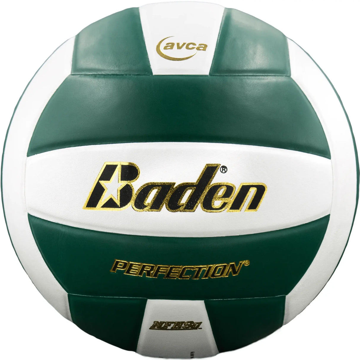 Baden Perfection Volleyball