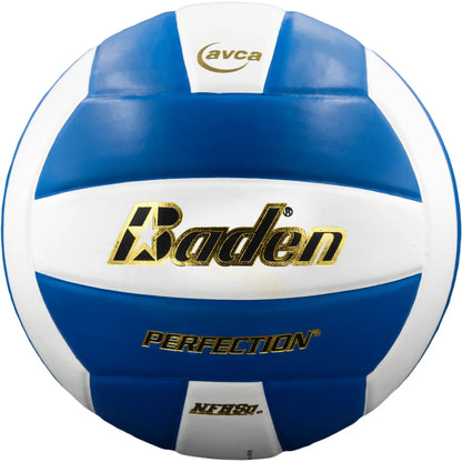 Baden Perfection Volleyball