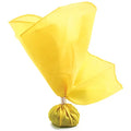 Official's Penalty Flag